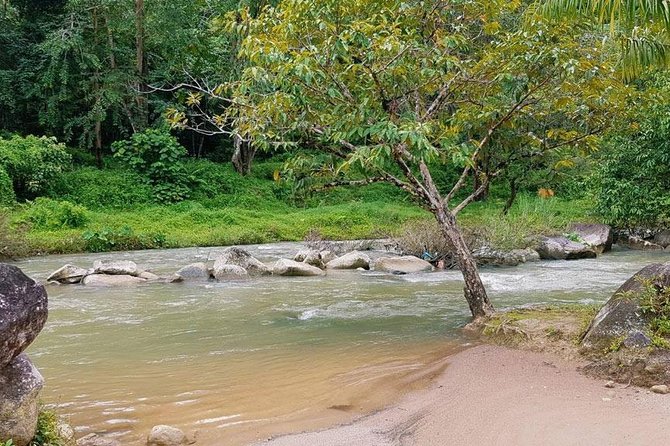 Bamboo Rafting, ATV Riding and Jungle Tour From Phuket - Lunch, fruit, and a useful midday pause