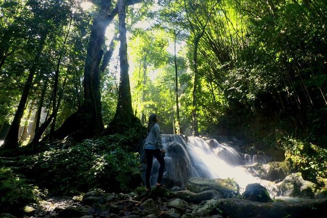 Bamboo Rafting, ATV Riding and Jungle Tour From Phuket - Suwankuha Temple and Monkey Cave