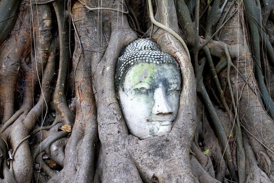 Bangkok: Audio guides for Bangkok, Ayutthaya & Chiang Mai - Ayutthaya: ruins that need a story