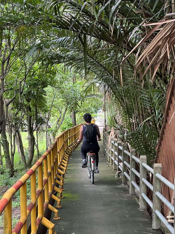 Bangkok: Bang Kachao Green Lung Bike Tour - What the $43 Price Really Covers
