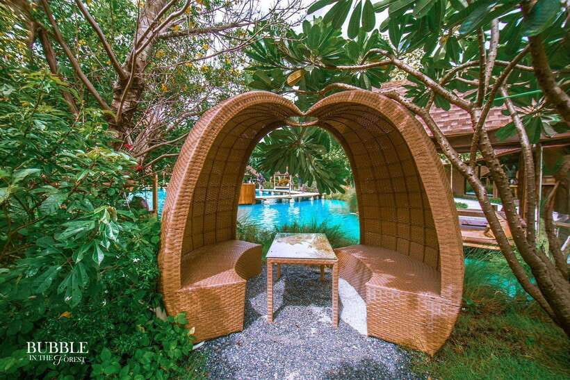 Bangkok: Bubble in the Forest Cafe Food Packages - The best occasions for booking