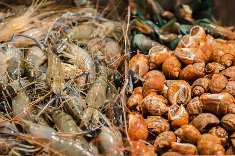 Bangkok: Chinatown Night Food Tour - Why Yaowarat works so well at night