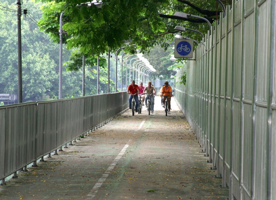 Bangkok: City Culture half-day Bike Tour - Lumpini Park and its famous monitor lizards