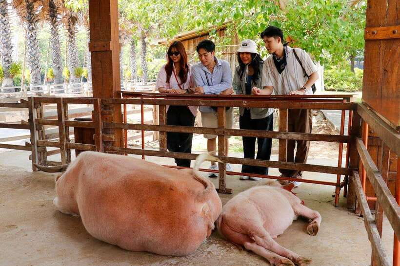 Bangkok: Damnoen Saduak and Train Market with Boat Ride - The 40-minute boat ride at Damnoen Saduak
