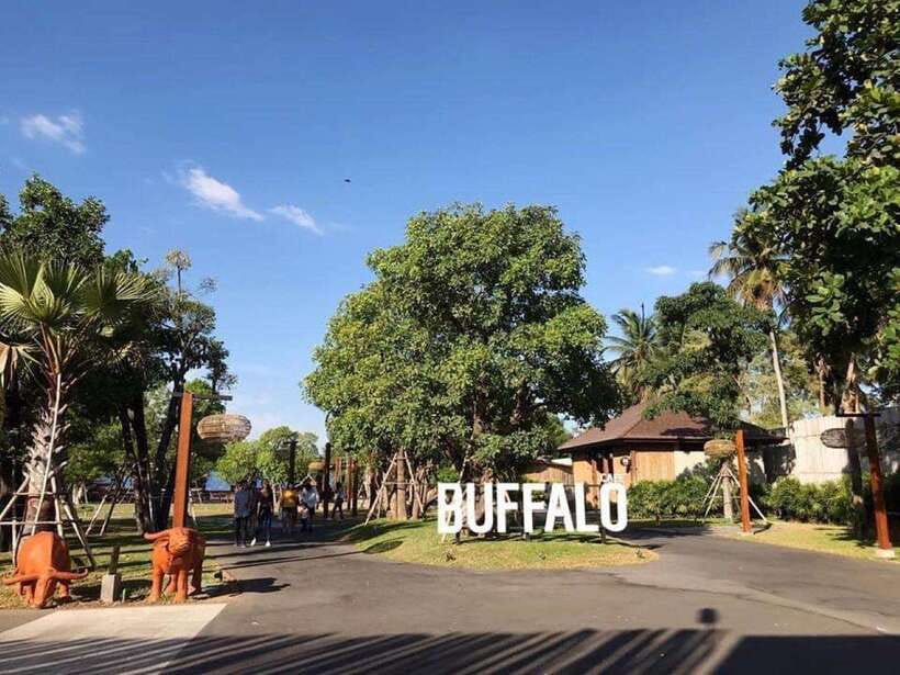 Bangkok: Damnoen Saduak and Train Market with Boat Ride - The Buffalo Café, a welcome pause
