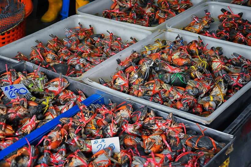 Bangkok: Damnoen Saduak Market and Maeklong Railway Market - Heat, clothing, and practical comfort