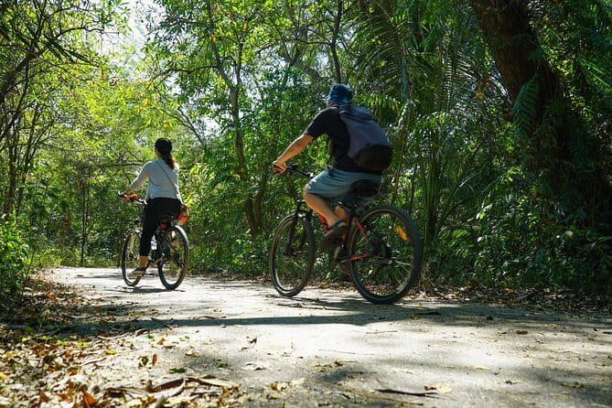 Bangkok Green Oasis Nature Bike Tour - Why Bang Krachao makes such a good half-day escape