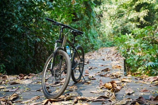 Bangkok Green Oasis Nature Bike Tour - Sri Nakhon Khuean Khan Park, the calm center of the ride