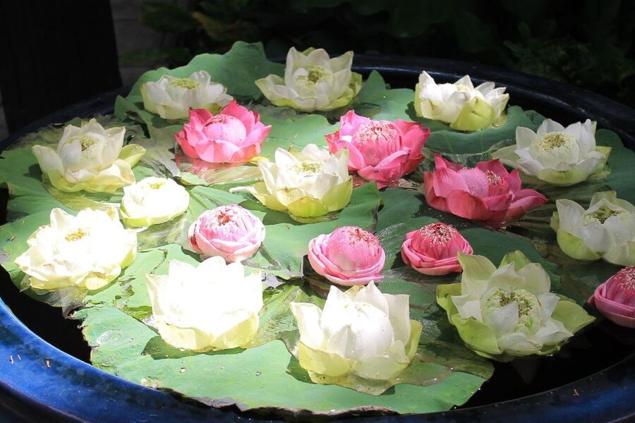 Bangkok: Jim Thompson House and Baan Krua Community Tour - Meeting Uncle Aood’s silk-making family
