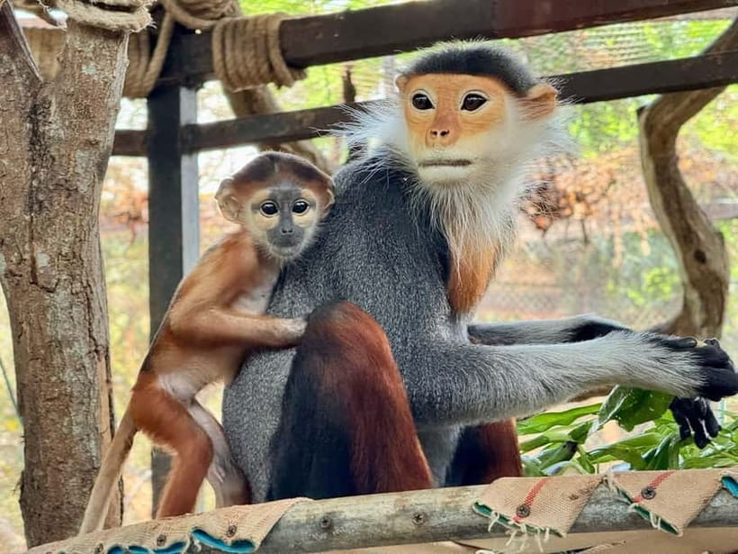 Bangkok/Pattaya: Khao Kheow Zoo Private Tour with Pickup - Exploring the Green Zone on Foot or by Cart
