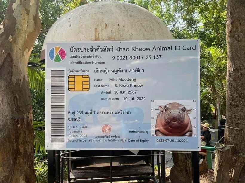 Bangkok/Pattaya: Khao Kheow Zoo Private Tour with Pickup - Animals, Feeding, and Family Appeal