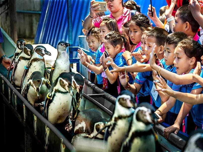 Bangkok/Pattaya: Khao Kheow Zoo Private Tour with Pickup - Timing Advice for a Calmer Visit