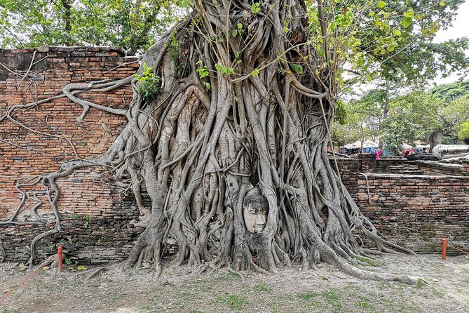 Bangkok: Private Ayutthaya and Bang Pa-In Summer Palace Tour - Wat Yai Chai Mang Khon, the likely highlight