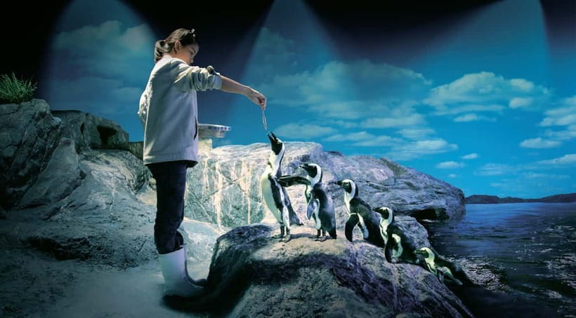 Bangkok: SEA LIFE Bangkok Ocean World Entry Ticket - Key points to know before you go