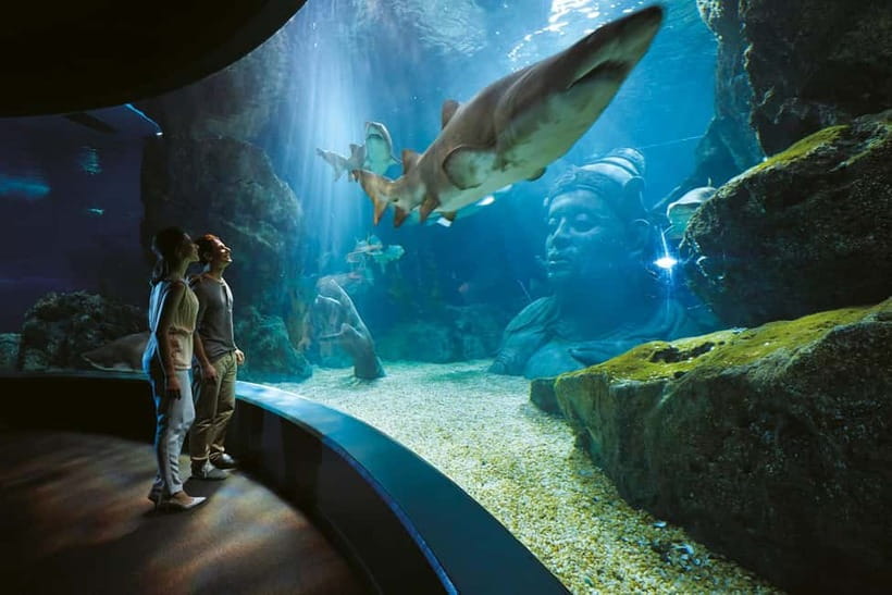 Bangkok: SEA LIFE Bangkok Ocean World Entry Ticket - Finding the aquarium beneath Siam Paragon