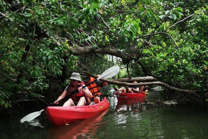 Bangkok Tour by Boat and Bike - Choosing between a kayak and canoe