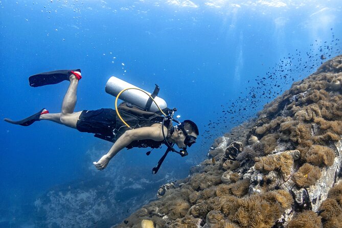 Basic Diver ( One Day Experience) - Key Points at a Glance