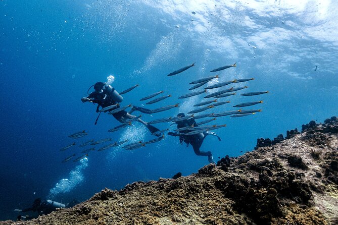 Basic Diver ( One Day Experience) - Why This Koh Tao Introduction Works for Beginners