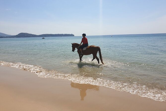 Beach Horse Riding Activity in Phuket - Safety rules you should take seriously