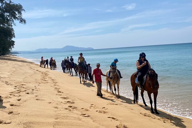Beach Horse Riding Activity in Phuket - Who will enjoy this beach ride most