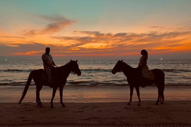 Beach Horse Riding At Sunset In Phuket - Horse care and an important ethical question