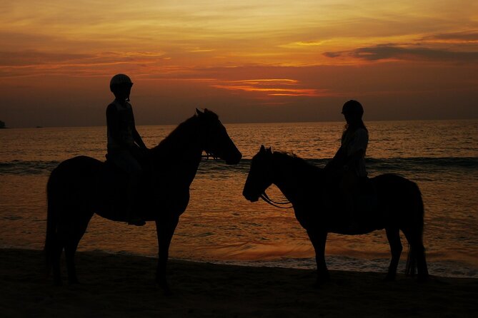Beach Horse Riding At Sunset In Phuket - Who should book this beach ride?