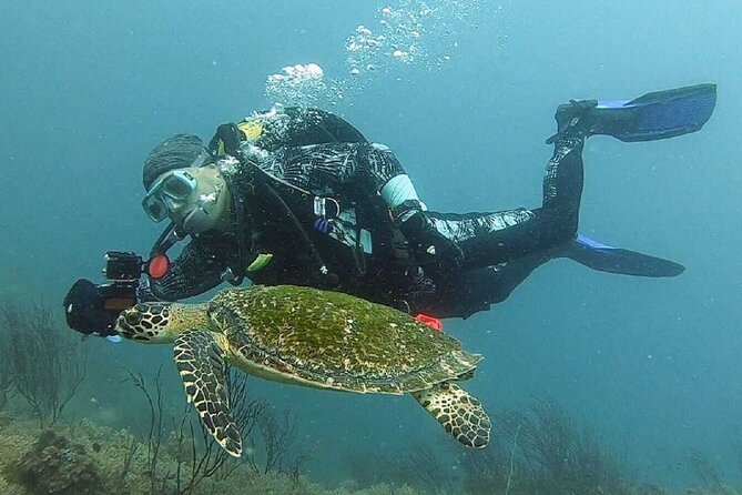 Become certified diver in 3 days - PADI Open Water Diver course on Koh Tao - Day one: study, equipment, and shallow-water practice