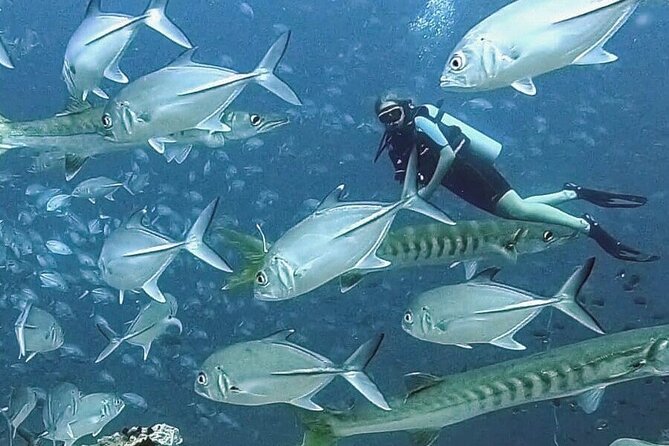 Become certified diver in 3 days - PADI Open Water Diver course on Koh Tao - The practical drawbacks to weigh