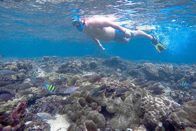 Best of Phi Phi Islands Snorkeling Tour from Phuket - A long but efficient day from Phuket