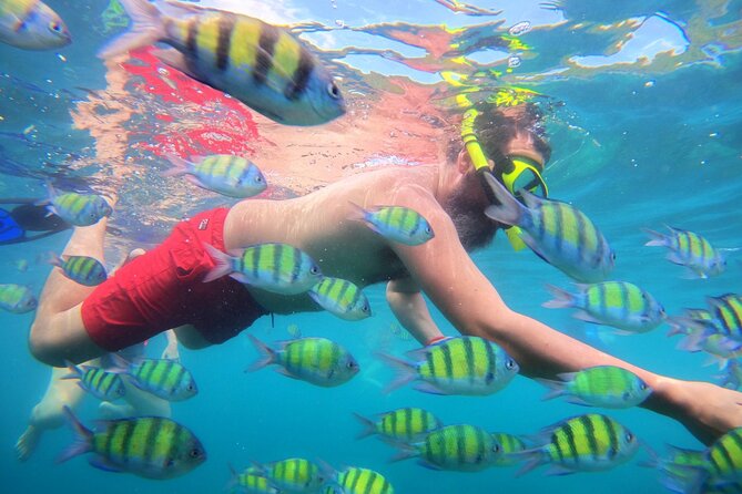 Best of Phi Phi Islands Snorkeling Tour from Phuket - Maya Bay is famous, beautiful, and crowded
