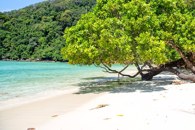 Best Seller - Surin Islands Snorkeling Trip from Khao Lak - The speedboat is the trade-off