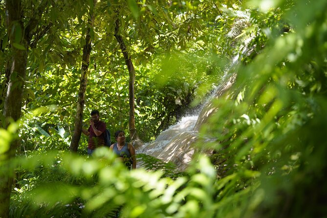 Bua Tong Waterfall Adventure& Huge Cave included Thai Buffet Tour - Lunch, snacks, and the value of the package