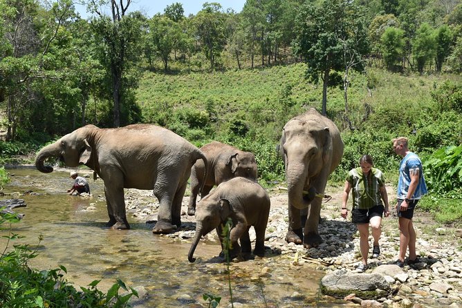 Care Pride Elephants: Full-Day Tour Experience - Homemade Thai lunch in the sanctuary