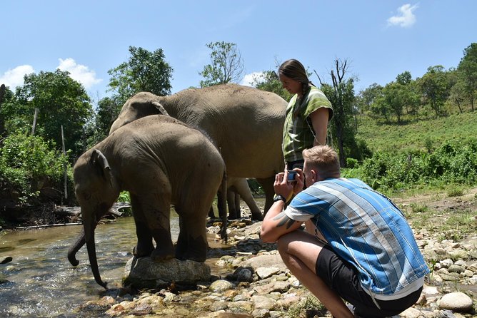 Care Pride Elephants: Full-Day Tour Experience - How ethical is the experience?