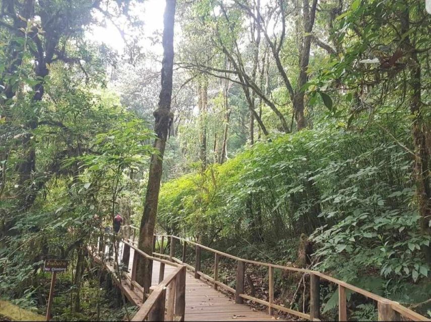 Chang Mai: Doi Inthanon Day Tour w/Waterfalls & Hilltribes - Why Doi Inthanon makes a strong day trip