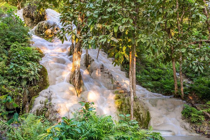 Chiang Dao Cave Trekking Small Group Tour – Full Day - The journey north and the value of the market stops