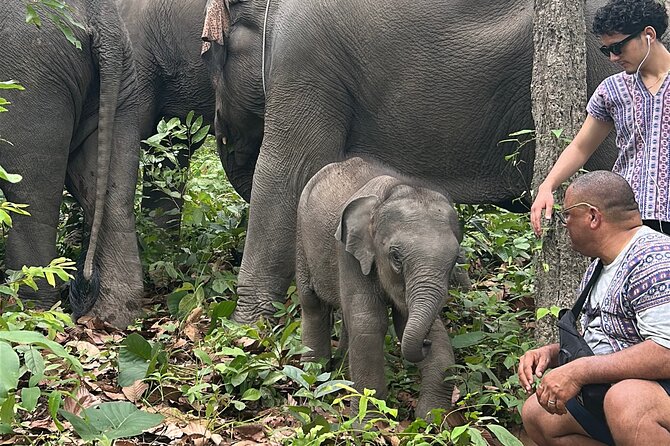 Chiang Mai 1 Day: Elephant Sanctuary, Waterfall & Bamboo Rafting - What the Karen-led setting adds