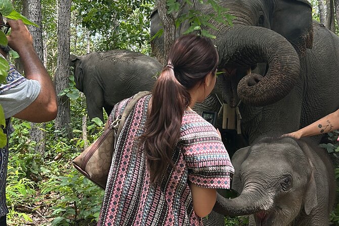 Chiang Mai 1 Day: Elephant Sanctuary, Waterfall & Bamboo Rafting - Bamboo rafting through the Thai countryside