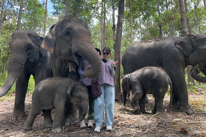 Chiang Mai 1 Day: Elephant Sanctuary, Waterfall & Bamboo Rafting - What to bring and what to budget