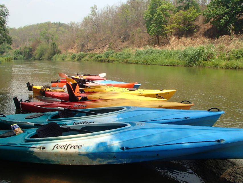 Chiang Mai: 15 km Leisure River Kayaking at Mae Ngat forest - Should you book the Mae Ngat forest kayaking trip?
