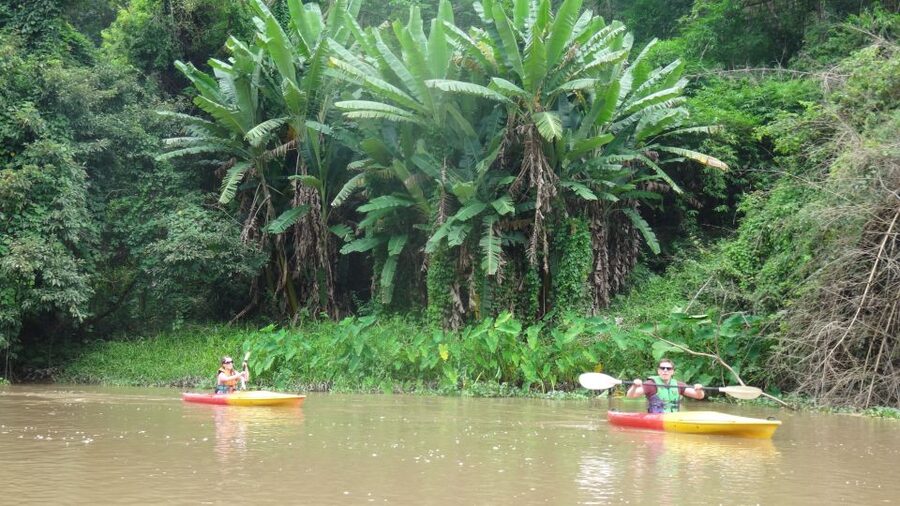 Chiang Mai: 15 km Leisure River Kayaking at Mae Ngat forest - Three quiet hours from Chur Lare Bridge