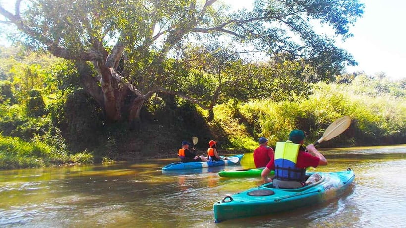 Chiang Mai: 15 km Leisure River Kayaking at Mae Ngat forest - Who will enjoy this river day most