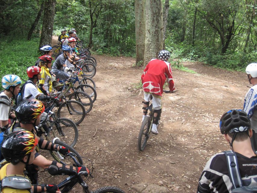 Chiang Mai: 20km Downhill Mountain Biking Challenge Suthep M - Should you book the Doi Suthep downhill challenge?