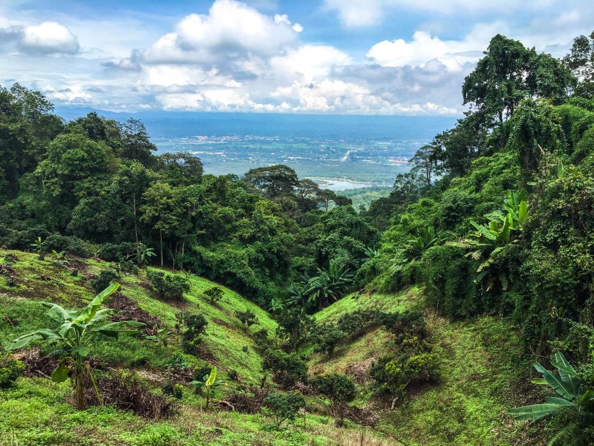Chiang Mai: 20km Downhill Mountain Biking Challenge Suthep M - Guides, pace, and group comfort