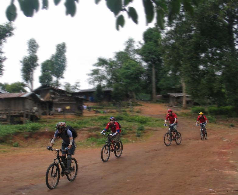Chiang Mai: 20km Downhill Mountain Biking Challenge Suthep M - Who should book this ride?