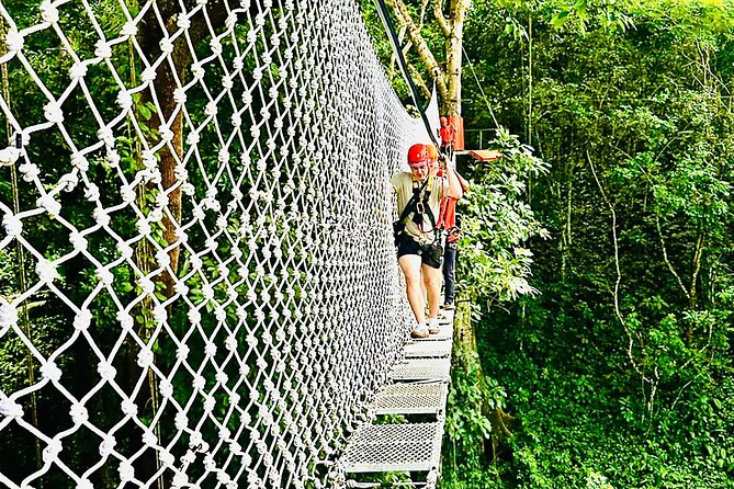 Chiang Mai 3 in 1 Zipline, Elephants and Sticky Waterfall - Why this three-part day works