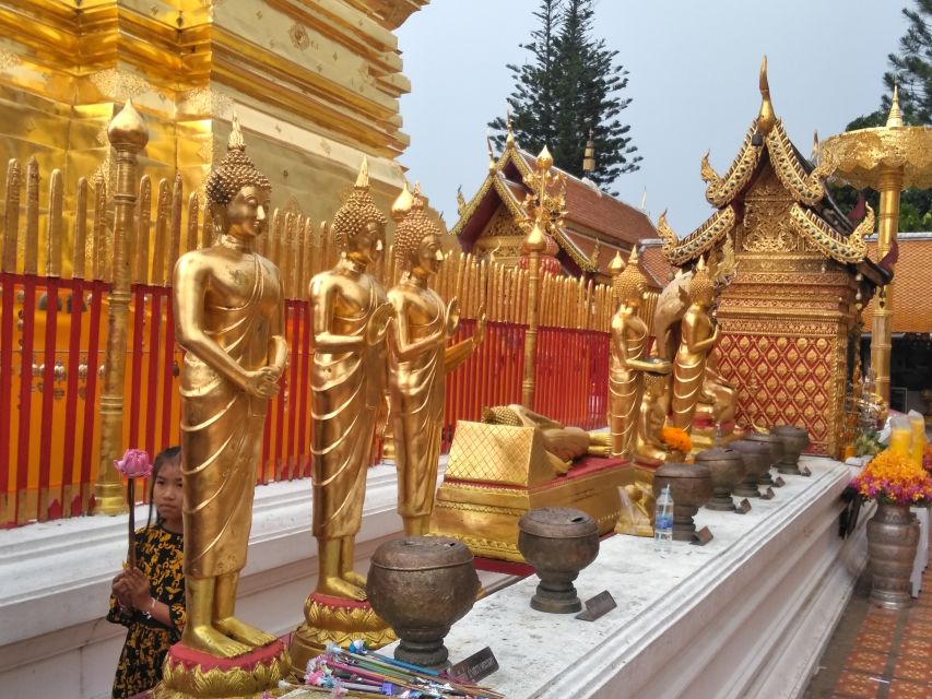 Chiang Mai: 7-Hour Doi Suthep National Park Summit Hiking - Should you book the Doi Suthep summit hike?