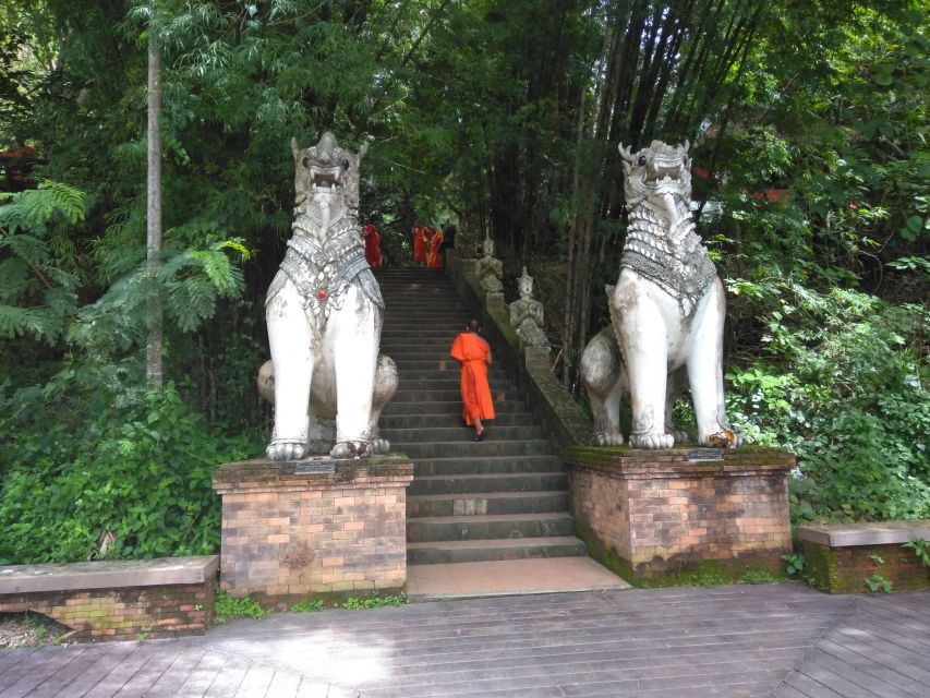 Chiang Mai: 7-Hour Doi Suthep National Park Summit Hiking - The climb begins above Chiang Mai