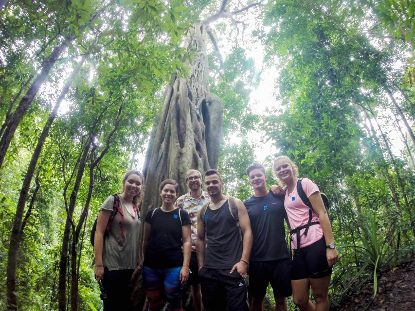 Chiang Mai: 7-Hour Doi Suthep National Park Summit Hiking - Doi Suthep temple adds culture and views