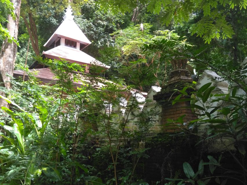Chiang Mai: 7-Hour Doi Suthep National Park Summit Hiking - The national park section is the serious hike